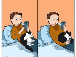 Komik Lucu Soal Kucing yang Bikin Kaya Pembacanya