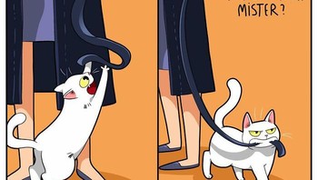 Abis digigit, terus dibawa lari deh. Foto: (Bored Panda).