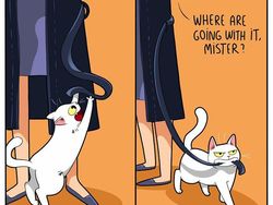 Komik Lucu Soal Kucing yang Bikin Kaya Pembacanya