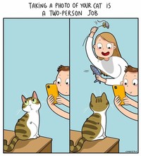 Ketika memelihara seekor kucing, ada saja tingkahnya yang membuat kita gemas. Beberapa di antaranya digambarkan dalam bentuk komik berikut ini.