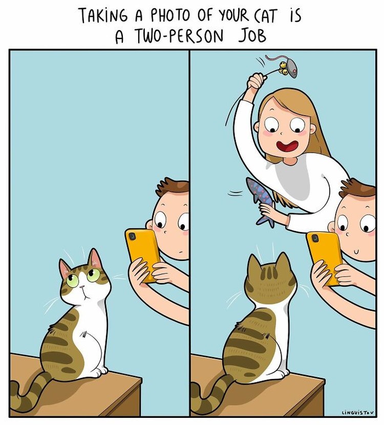 Komik Lucu Soal Kucing yang Bikin Pembacanya Ketika memelihara seekor kucing, ada saja tingkahnya yang membuat kita gemas. Beberapa di antaranya digambarkan dalam bentuk komik berikut ini.