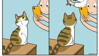 Giliran lagi nggak difoto lucu banget, pas mau jepret gambar malah susa banget dapat momen imutnya. Foto: (Bored Panda).