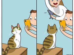 Komik Lucu Soal Kucing yang Bikin Kaya Pembacanya