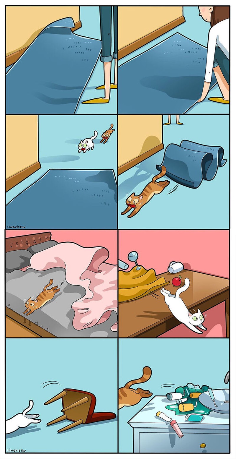 Ketika memelihara seekor kucing, ada saja tingkahnya yang membuat kita gemas. Beberapa di antaranya digambarkan dalam bentuk komik berikut ini.