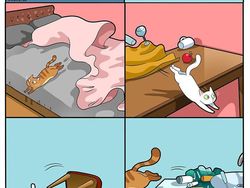 Komik Lucu Soal Kucing yang Bikin Kaya Pembacanya