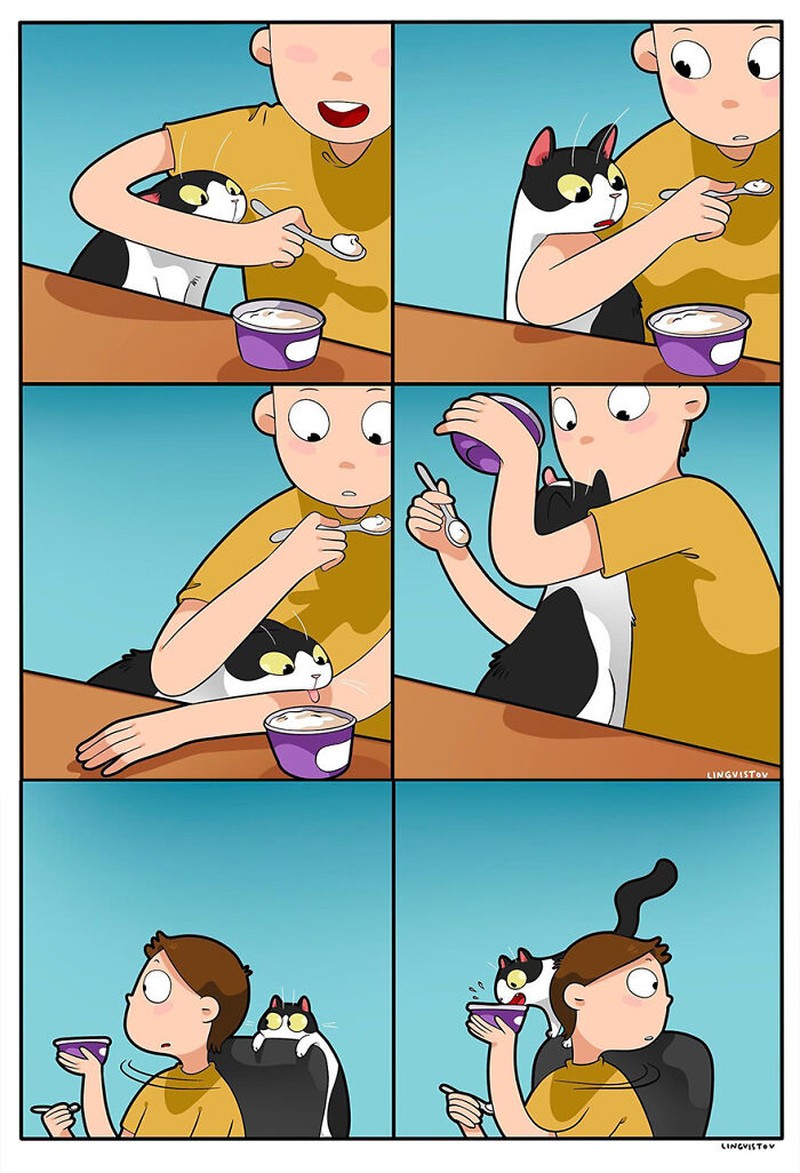 Ketika memelihara seekor kucing, ada saja tingkahnya yang membuat kita gemas. Beberapa di antaranya digambarkan dalam bentuk komik berikut ini.