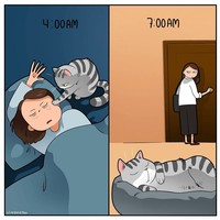 Ketika memelihara seekor kucing, ada saja tingkahnya yang membuat kita gemas. Beberapa di antaranya digambarkan dalam bentuk komik berikut ini.