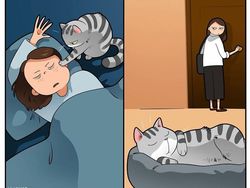 Komik Lucu Soal Kucing yang Bikin Kaya Pembacanya