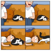 Ketika memelihara seekor kucing, ada saja tingkahnya yang membuat kita gemas. Beberapa di antaranya digambarkan dalam bentuk komik berikut ini.