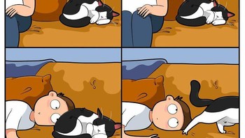 Ketika mencoba untuk berbaur, eh kucingnya malah bangun. Foto: (Bored Panda).