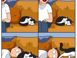 Komik Lucu Soal Kucing yang Bikin Kaya Pembacanya