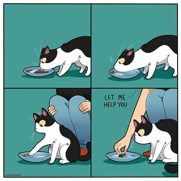 Ketika memelihara seekor kucing, ada saja tingkahnya yang membuat kita gemas. Beberapa di antaranya digambarkan dalam bentuk komik berikut ini.