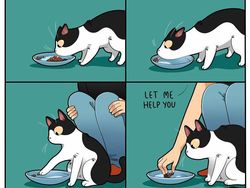 Komik Lucu Soal Kucing yang Bikin Kaya Pembacanya