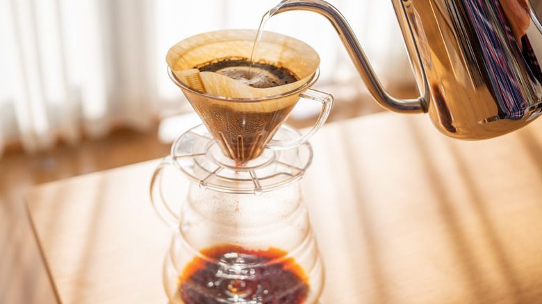 Kopi Maragogipe, Kopi Langka Asal Brazil yang Rasanya Istimewa