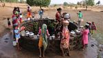 Kasihan! Musim Panas Bikin India Krisis Air Parah