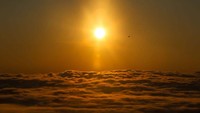 Untuk menikmati pesona sunrise tidak harus ke pantai lho, bisa juga dilihat dari pengunungan. Kintamani merupakan salah satu tempat wisata alam pegunungan yang bisa digunakan untuk melihat fenomena sunrise yang sangat indah. 