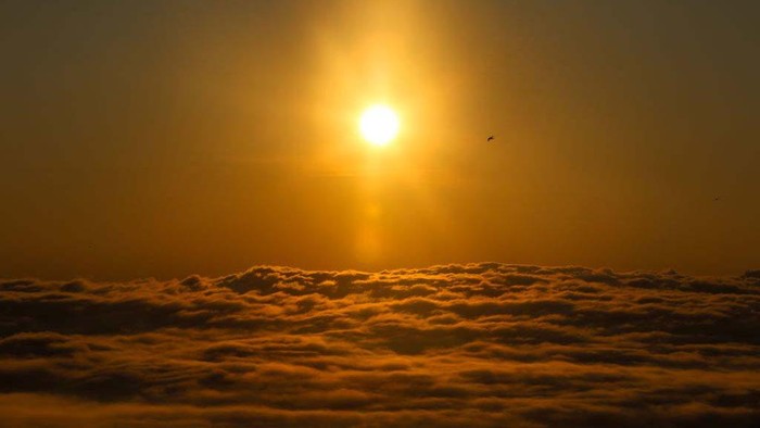 The sun shines through trees during sunrise in Kintamani, Bali, Indonesia, on May 18, 2023. (Photo by Garry Lotulung/NurPhoto via Getty Images)