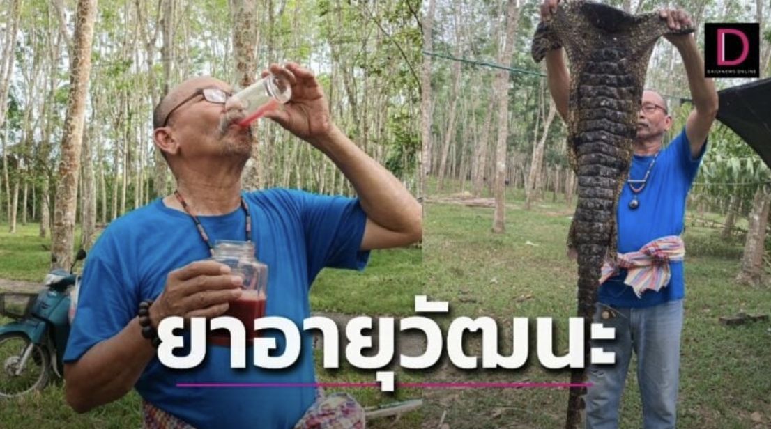 Pria Ini Rajin Minum Darah Buaya Campur Alkohol Agar Bugar