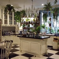 Bagian dapur pun seperti rumah kaca yang penuh tanaman.Sebenarnya dari dulu sudah ada tanaman di dalam rumah, tapi sejak pandemi jadi semakin banyak, tutur kakak Kris Dayanti itu. (Foto: YouTube Yuni Shara Channel)