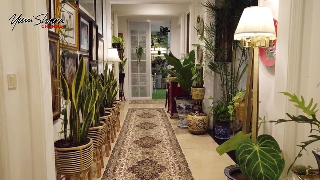 Salah satu tanaman yang mendominasi di rumah ibu dua anak itu adalah lidah mertua. Seperti terlihat di bagian lorong ini. “Lidah mertua itu tanaman yang paling gampang perawatannya dan punya banyak khasiat seperti menghisap debu dan racun,” kata Yuni di sebuah video yang tayang di YouTube. (Foto: YouTube Yuni Shara Channel)