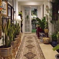 Salah satu tanaman yang mendominasi di rumah ibu dua anak itu adalah lidah mertua. Seperti terlihat di bagian lorong ini. “Lidah mertua itu tanaman yang paling gampang perawatannya dan punya banyak khasiat seperti menghisap debu dan racun,” kata Yuni di sebuah video yang tayang di YouTube. (Foto: YouTube Yuni Shara Channel)