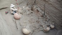 Seorang arkeolog membersihkan sisa-sisa kerangka dan keramik yang berusia sekitar 1000 hingga 1200 tahun, ditemukan di reruntuhan Macaton di Huaral, Peru, 12 Mei 2023.  