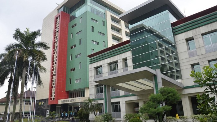 Program International Undergraduate Program (IUP) atau kelas internasional untuk jenjang Sarjana (S1) yang tersedia adalah (1) Manajemen, dengan konsentrasi Bisnis Internasional; (2) Akuntansi; dan (3) Bisnis Digital. Prof. Dr. Ari Saptono, Dekan FE UNJ, menyatakan bahwa ketiga prodi yang menawarkan kelas internasional ini secara konsisten menjadi yang paling kompetitif di tingkat nasional setiap tahunnya, Jumat (19/5/2023). Pendaftaran dibuka mulai 8 Mei 2023 hingga 14 Juli 2023.