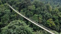 Ragam Wisata Di Lembah Purba, Ada Jembatan Terpanjang Se-Asia Tenggara!