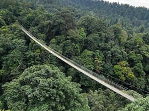 Ragam Wisata di Lembah Purba, Ada Jembatan Terpanjang se-Asia Tenggara!