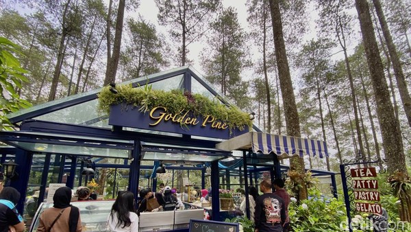 Ngeteh Cantik di Kafe Tengah Hutan Pinus Cikole Bandung