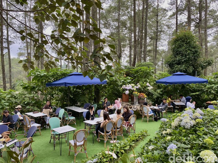 Golden Pine, kafe bernuansa Eropa di Orchid Forest Cikole Lembang