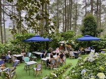 5 Kafe Estetik di Bandung Berkonsep Taman Bunga yang Cantik