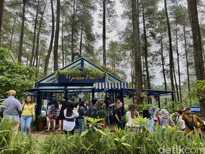 Golden Pine Golden Pine, kafe bernuansa Eropa di Orchid Forest Cikole Lembang