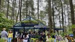 Ngeteh Cantik di Kafe Tengah Hutan Pinus Cikole Bandung