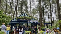 Orchid Forest Cikole Lembang menjadi tempat wisata favorit banyak orang. Selain menampilkan koleksi bunga anggrek dan hutan pinus, ada kafe cantik ala Eropa, yaitu Golden Pine. Foto: detikFood/Yenny Mustika Sari