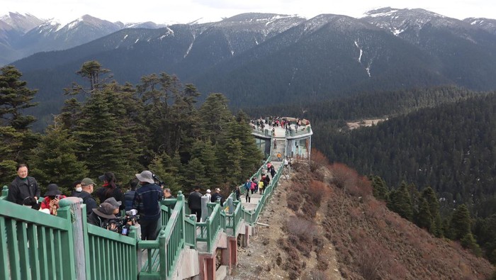 Sejumlah wisatawan memadati objek wisata Taman Nasional Lulang Linhai di dataran tinggi pegunungan Himalaya di Kabupaten Nyingchi, Daerah Otonomi Tibet, China, Rabu (17/5/2023). Dibukanya kembali program wisata Tibet akan menambah penghasilan warga setempat selain dari pertanian dan peternakan. ANTARA FOTO/M. Irfan Ilmie/aww.