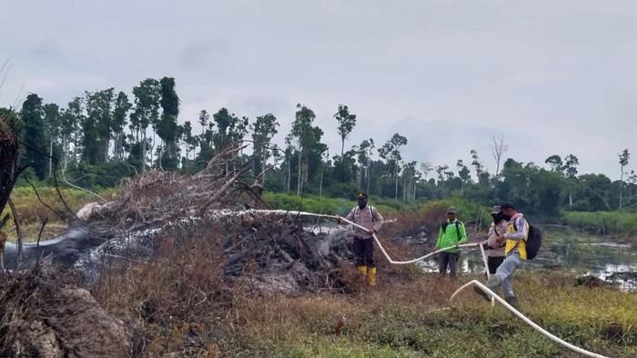 Petugas memadamkan lokasi lahan terbakar. (Foto: Dok Polres Rokan Hilir)