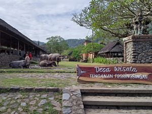 Wisatawan Mulai Lirik Desa Wisata Tenganan Pegringsingan