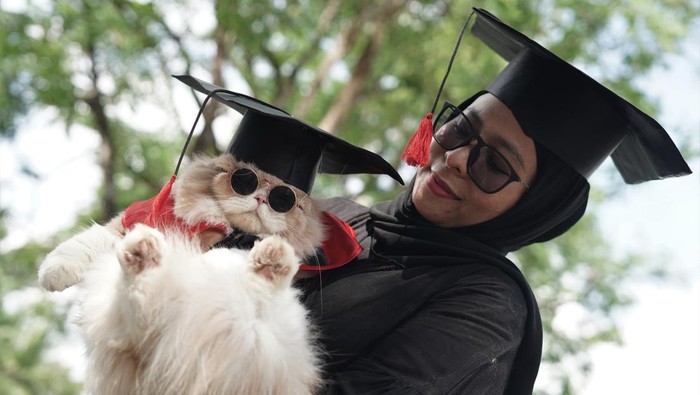 Warga menggendong kucing peliharaannya dengan kostum wisuda saat kontes kucing di pelataran Kantor Dinas Tanaman Pangan dan Peternakan Sulawesi Tenggara, Kendari, Sulawesi Tenggara, Minggu (21/5/2023). Kontes yang diikuti puluhan kucing dari berbagai ras tersebut diisi dengan lomba peragaan kostum kucing, lomba makan serta pemberian vaksin bagi kucing peliharaan. ANTARA FOTO/Jojon/nym.