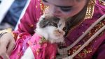 Gaya Kucing Saat Ikut Kontes Kostum di Kendari