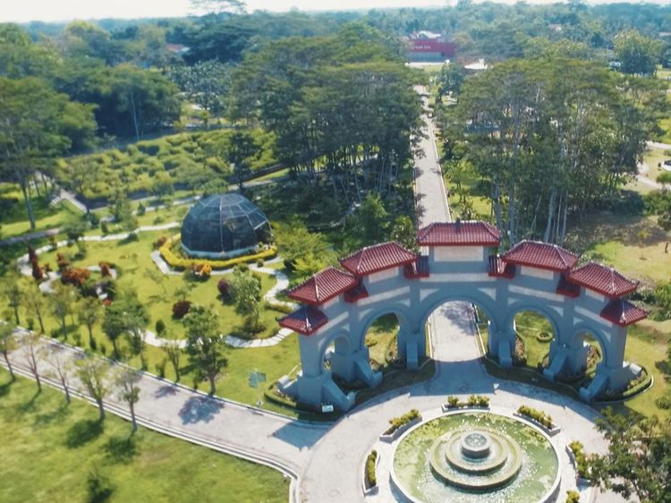 Potret Kebun Raya Terbaik di Indonesia 2023, Punya Taman Labirin