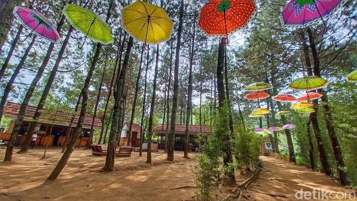 Maranganani Camp di Kabupaten Bandung