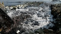 Tak hanya itu, Sungai Buriganga juga menjadi sumber airi minam untuk warga.