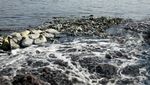 Melihat Sungai Paling Tercemar di Dhaka