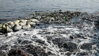 Buriganga merupakan satu dari 10 sungai paling tercemar di dunia.
