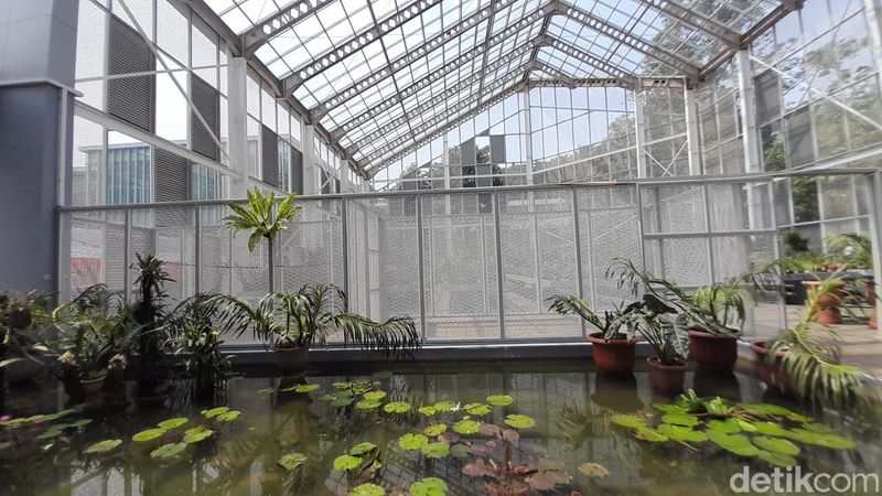 Rumah Kaca Anggrek Kebun Raya Bogor dan koleksi anggrek di dalamnya.
