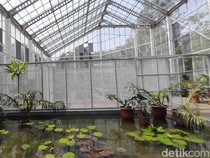 Tenor KPR Subsidi Diusul Jadi Cuma 10 Tahun Biar Lebih Banyak yang Nikmati