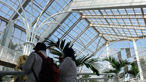 Rumah Kaca Anggrek Kebun Raya Bogor dan koleksi anggrek di dalamnya.