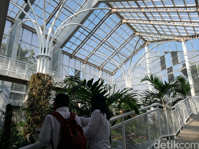 Rumah Kaca Anggrek Kebun Raya Bogor dan koleksi anggrek di dalamnya.