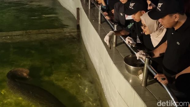 surabaya night zoo